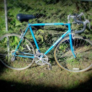 Blue '69 Schwinn World Soft Focus Vignette #1