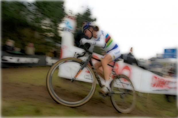 Vos at Zolder