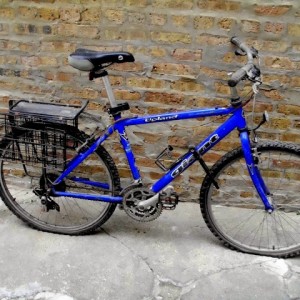 Project Bike 1