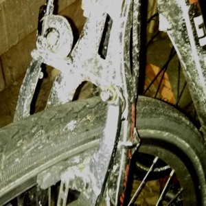 GeWilli's salty bike
