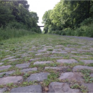 gloomy cobbles