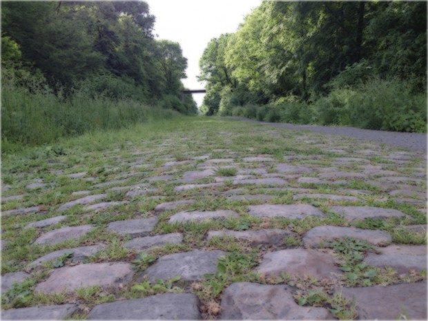 gloomy cobbles