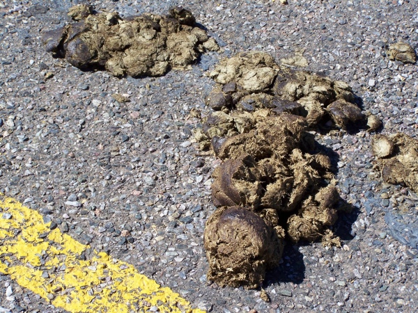 'Evidence of contaminated soil fell from team cars during the 2009 TdF
